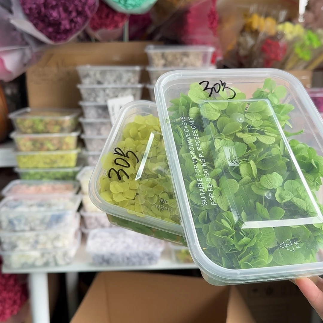 30号绣球深绿浅绿各1