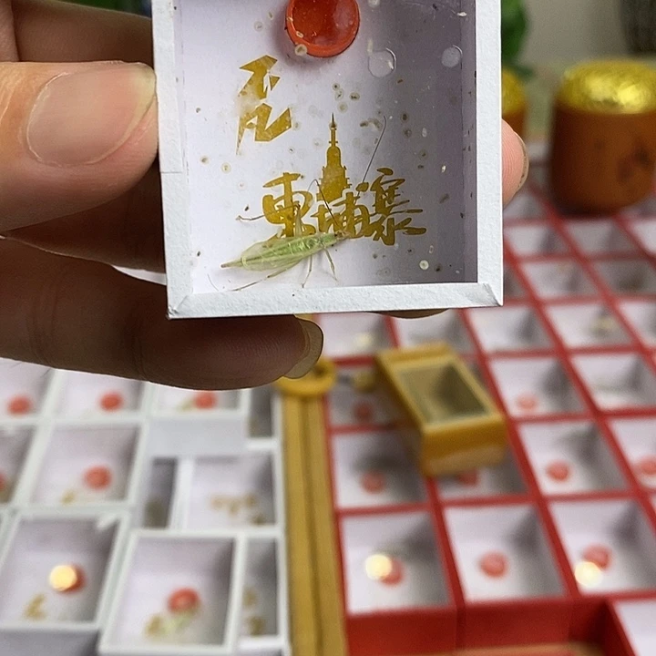 柬埔寨竹岭两只啊啊啊