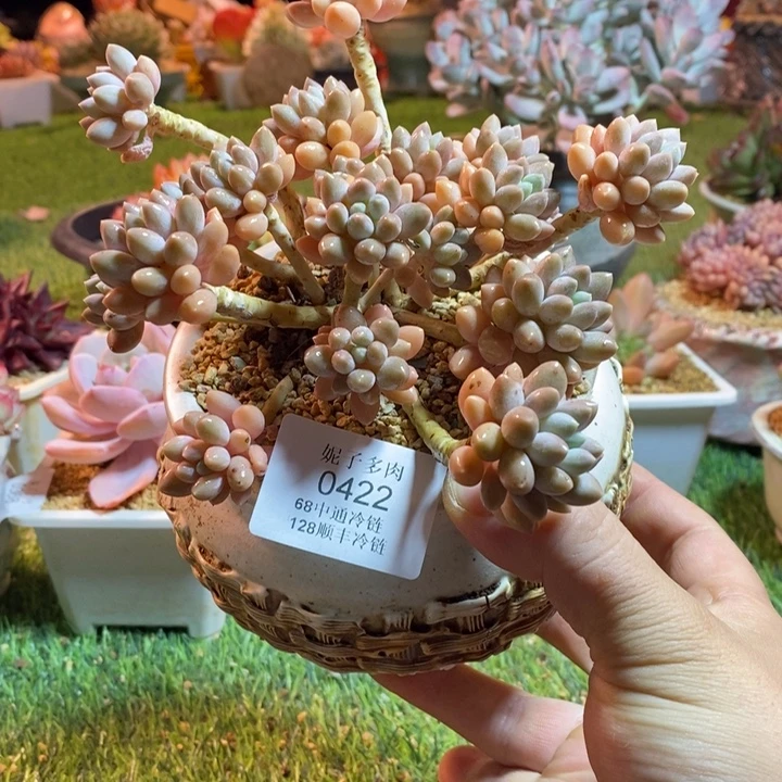 0422啊啊啊啊啊啊啊啊啊啊