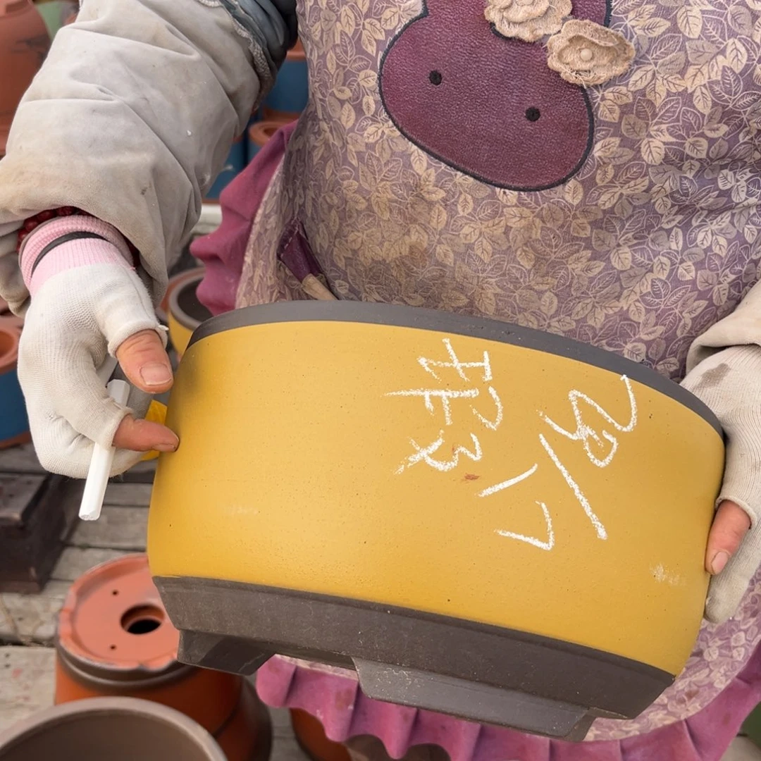 紫泥花盆紫砂花盆