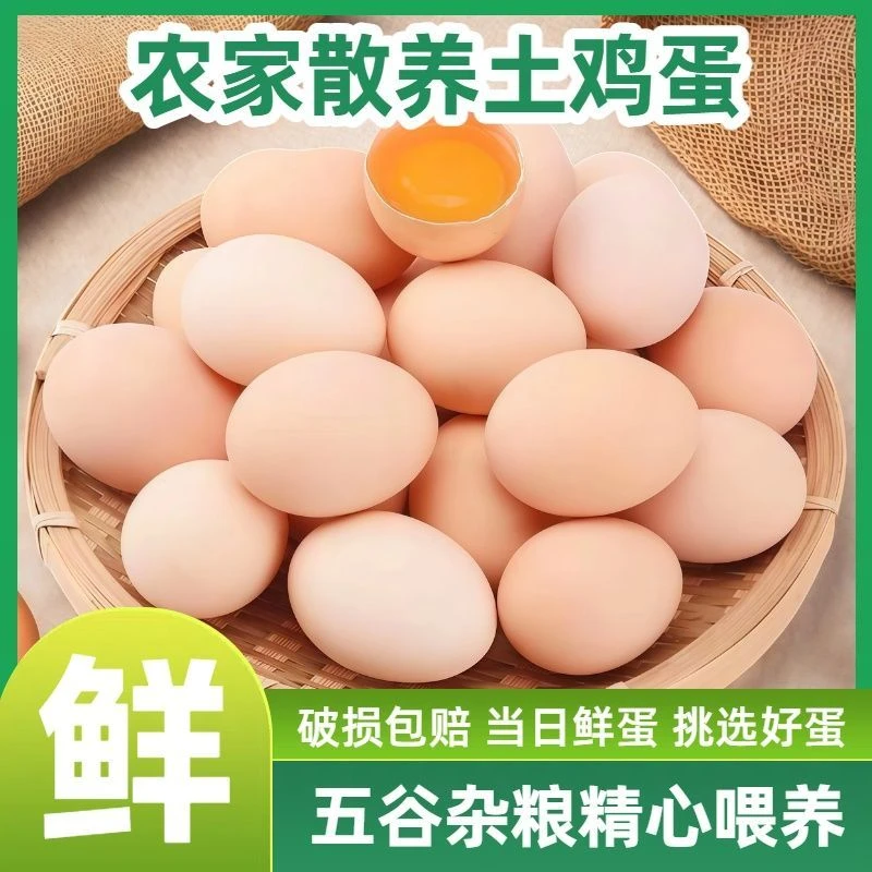 【新鲜50枚】t正宗农家散养土鸡蛋果园现拣现发40-50克现捡现发