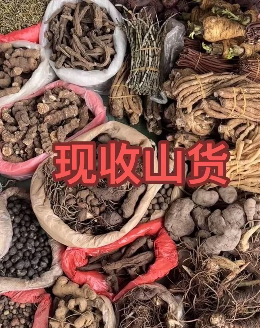 贴贴参～～～大集现收