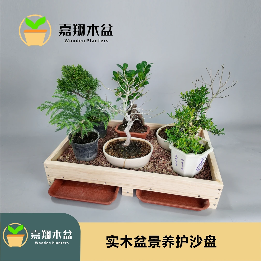 小盆景养护接水松柏多肉栽培盆促生根防积水加厚加密保湿透气沙盘