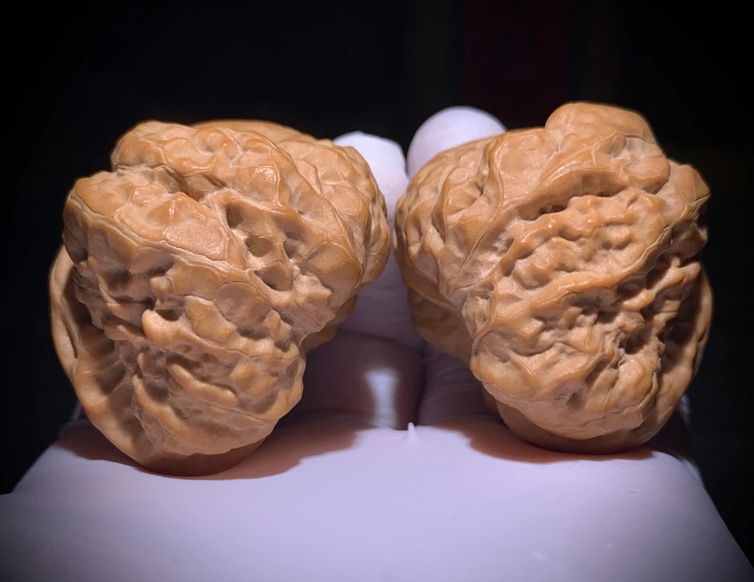 【蛙饼】延庆山地蛤蟆头 矮桩瓷皮蛙饼  蟾形好八腿八眼全 大凹底