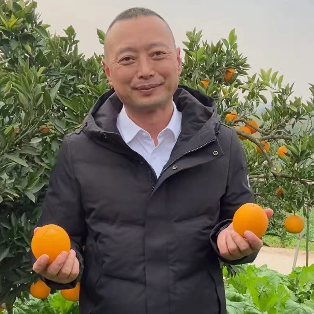 【贺支书助农】农家自种四川金堂脐橙高山橙现摘不打蜡当季新鲜橙子