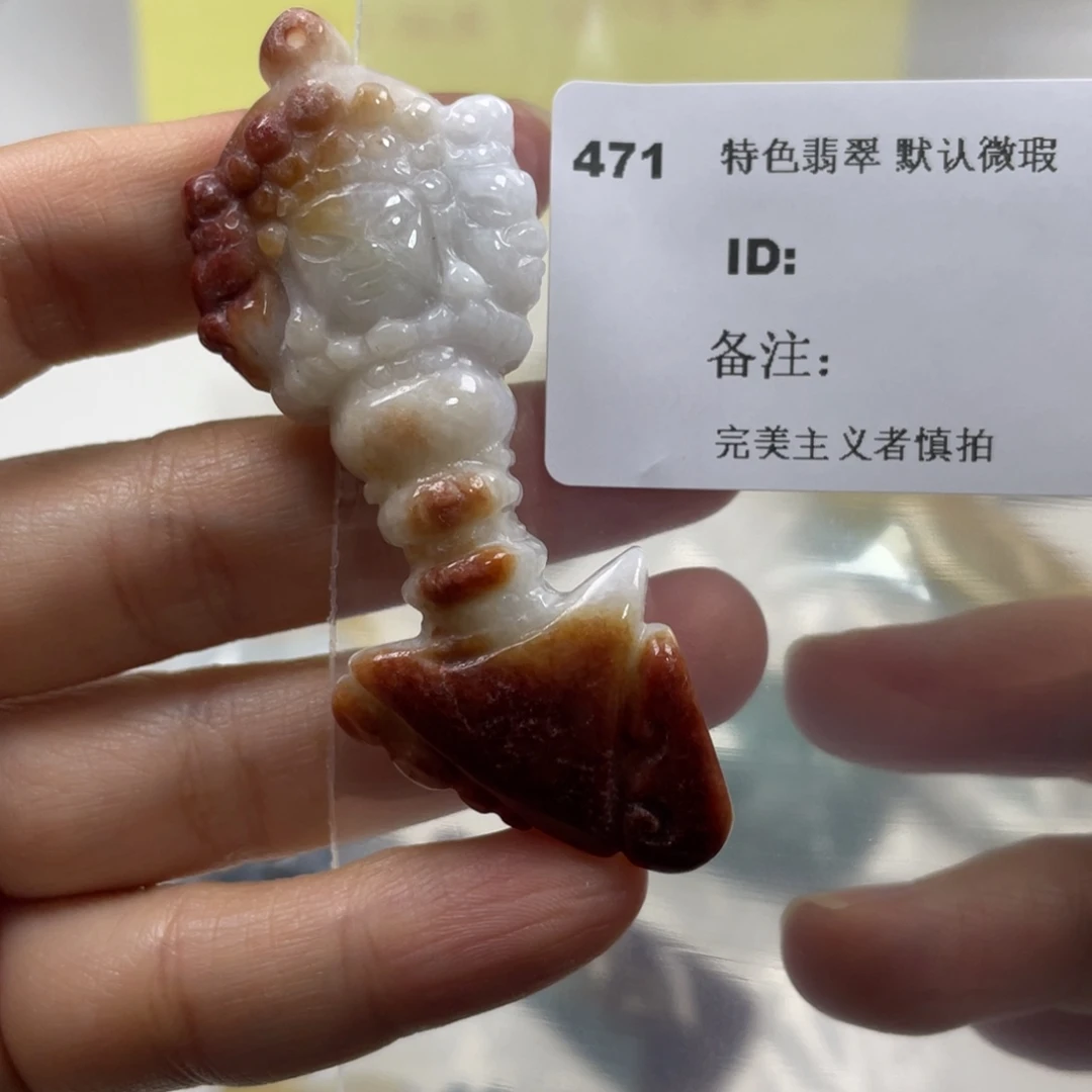 翡翠未镶嵌颈饰牌子