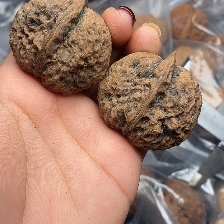 把件文玩核桃21号43mm