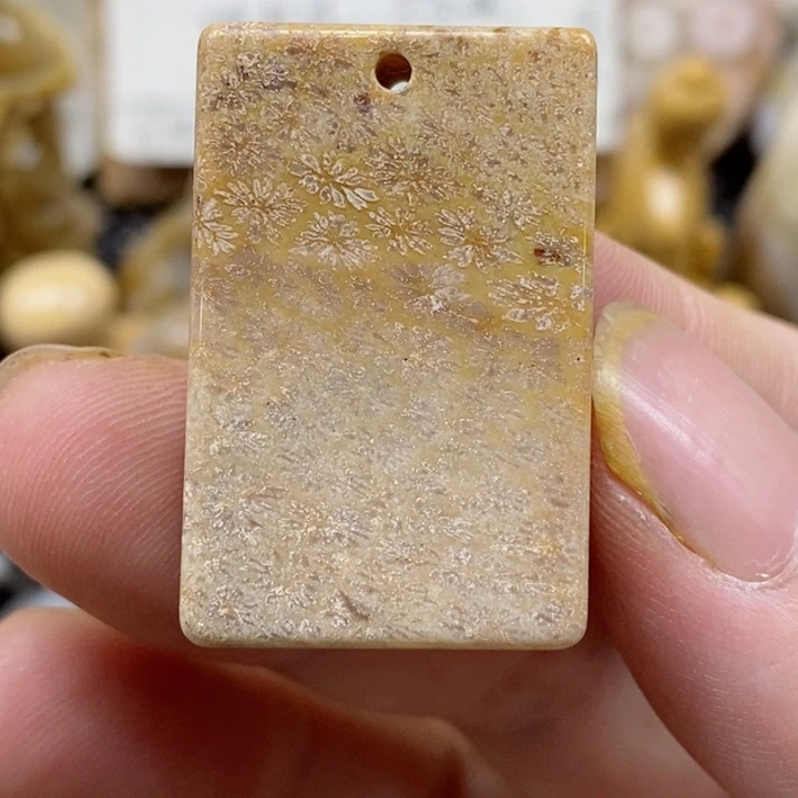 颈饰未镶嵌硅化珊瑚（珊瑚玉）小