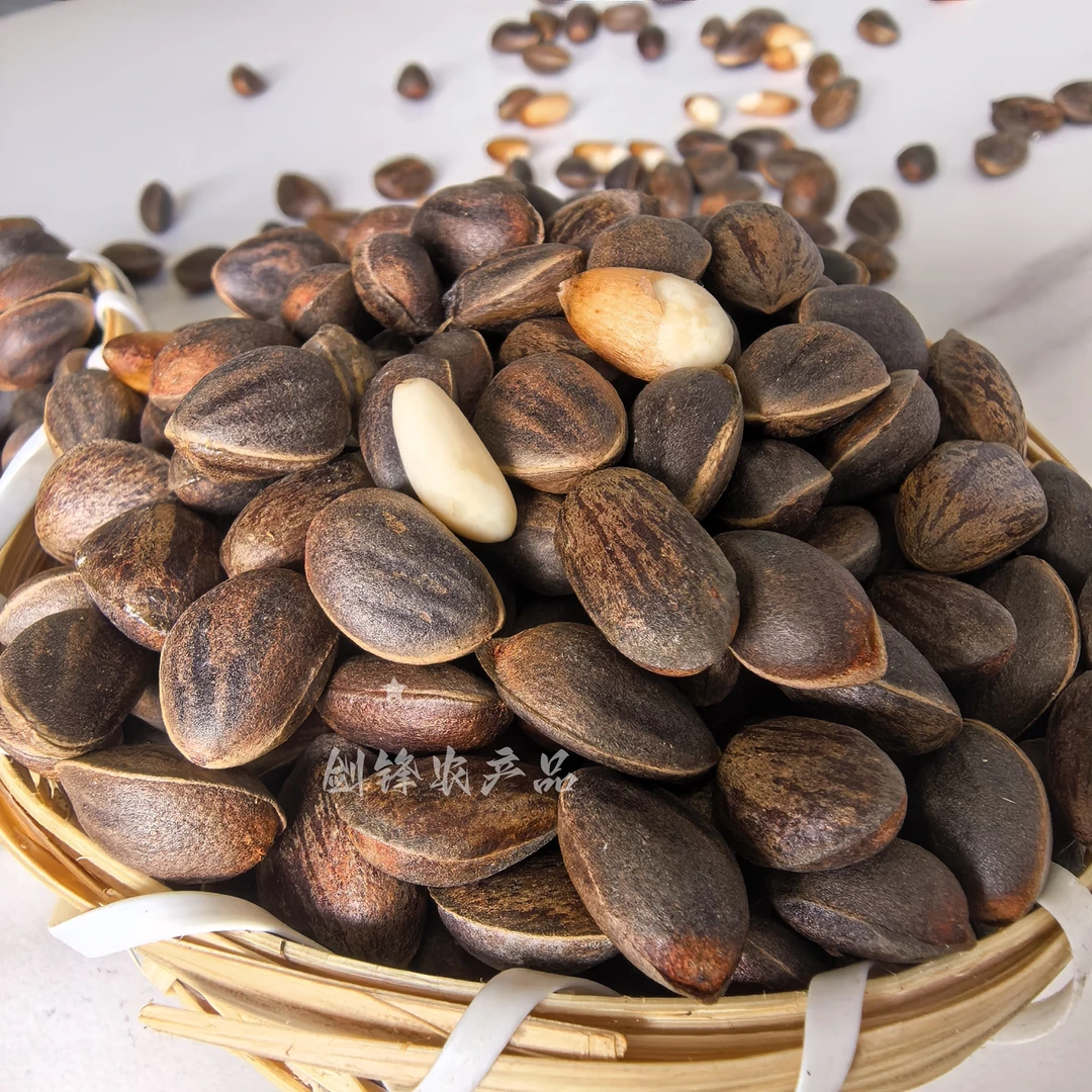 2025新货落水新鲜生松子1斤2斤3斤云南新鲜野生大粒原味松子坚果