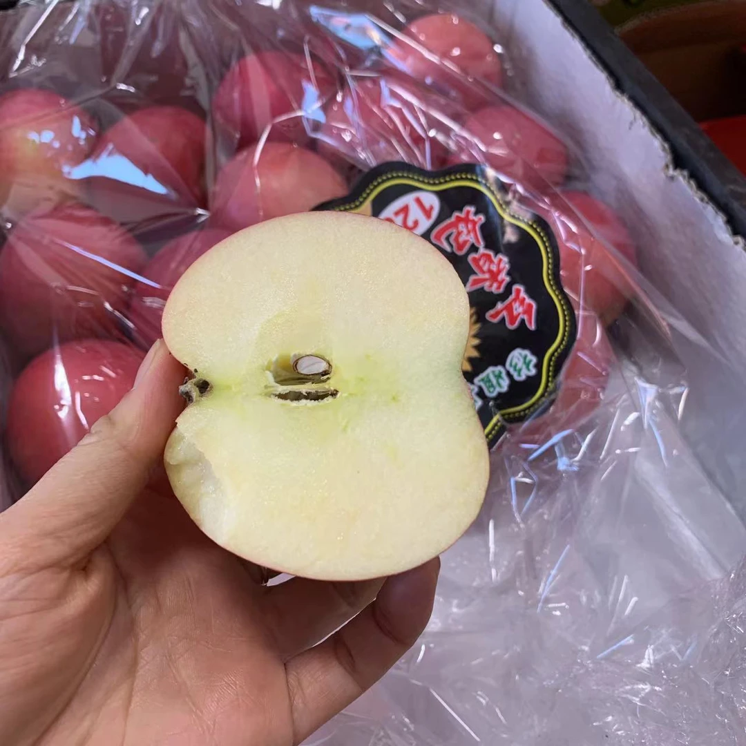红富士苹果 500-600克一份嘎嘎甜脆
