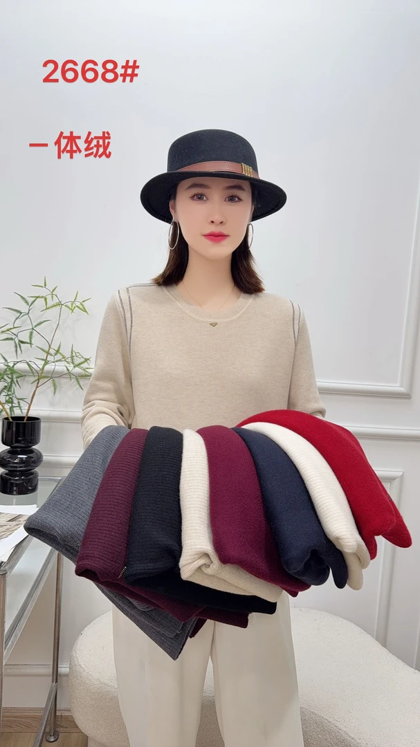 0666时尚百搭气质小三角亮钻一体绒上衣2668