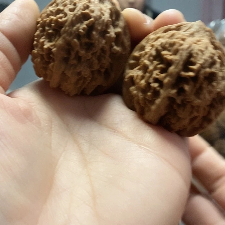 文玩核桃把件43满天星老树