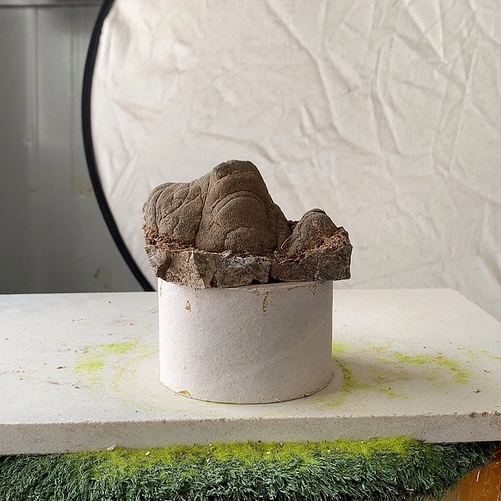 花盆摆件家居装饰