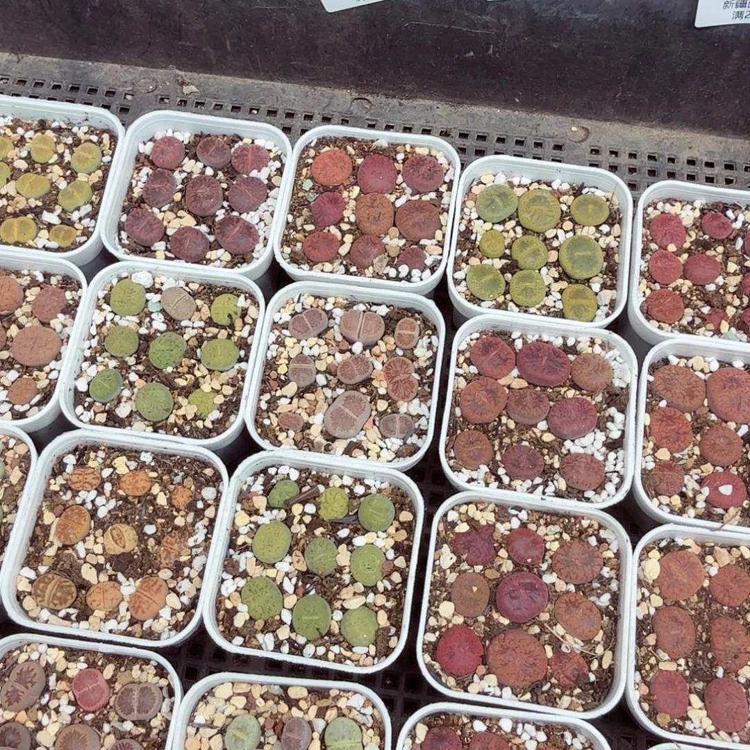 你也快回来吃饭哦我328就