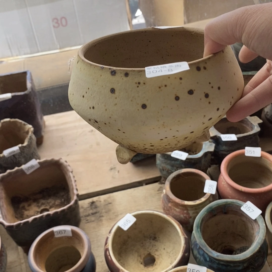 红陶韵*8号多肉盆一个呀