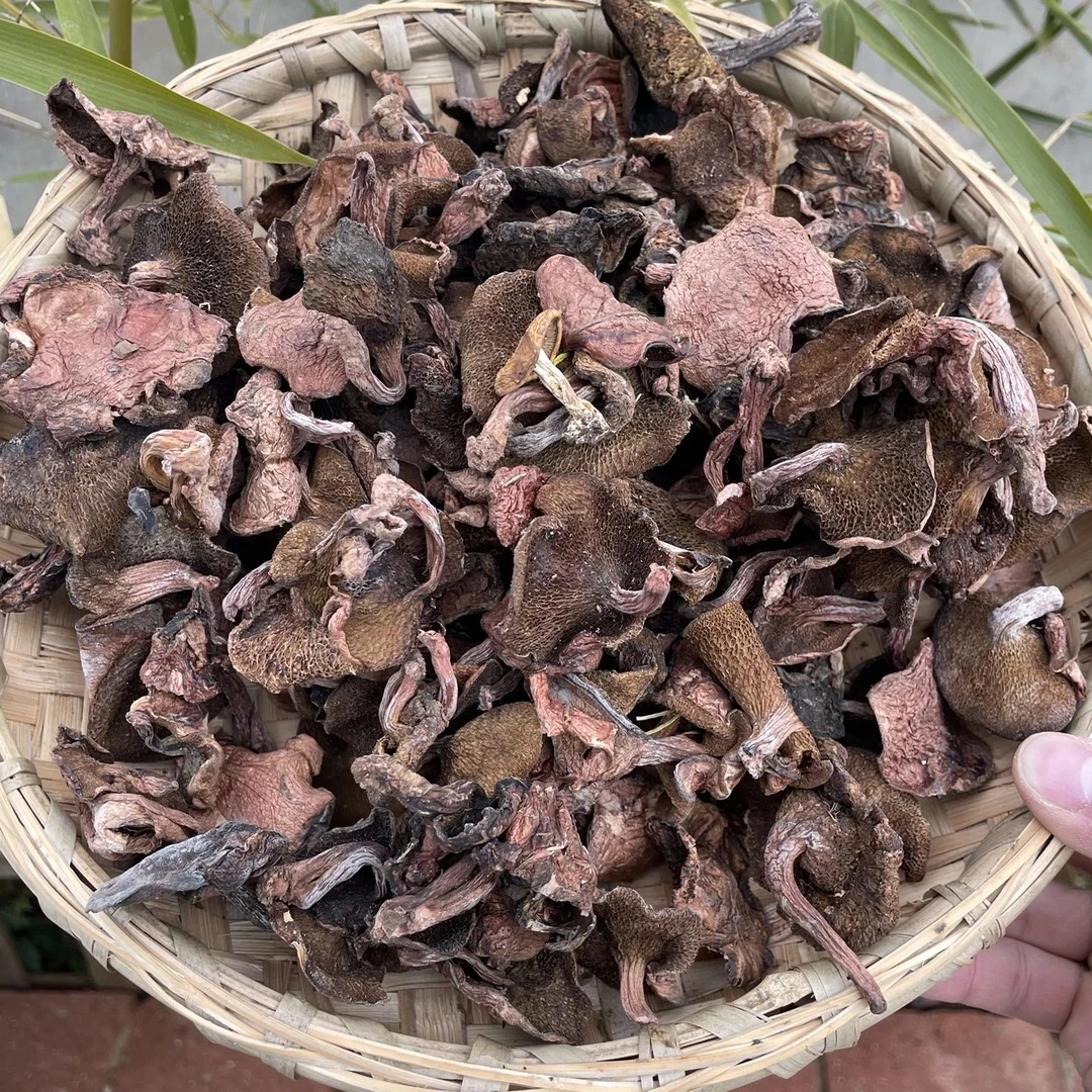 云南红乳䒜干菌菇净重250克500克