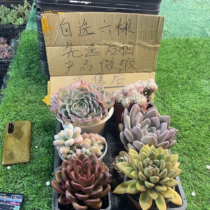 3833，筐拍微瑕，不售后，介意勿拍