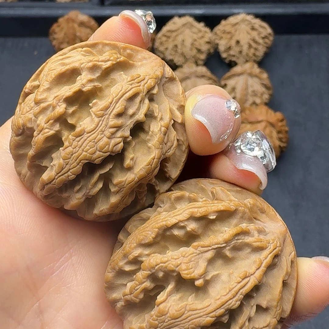 桃木突突突突突突突