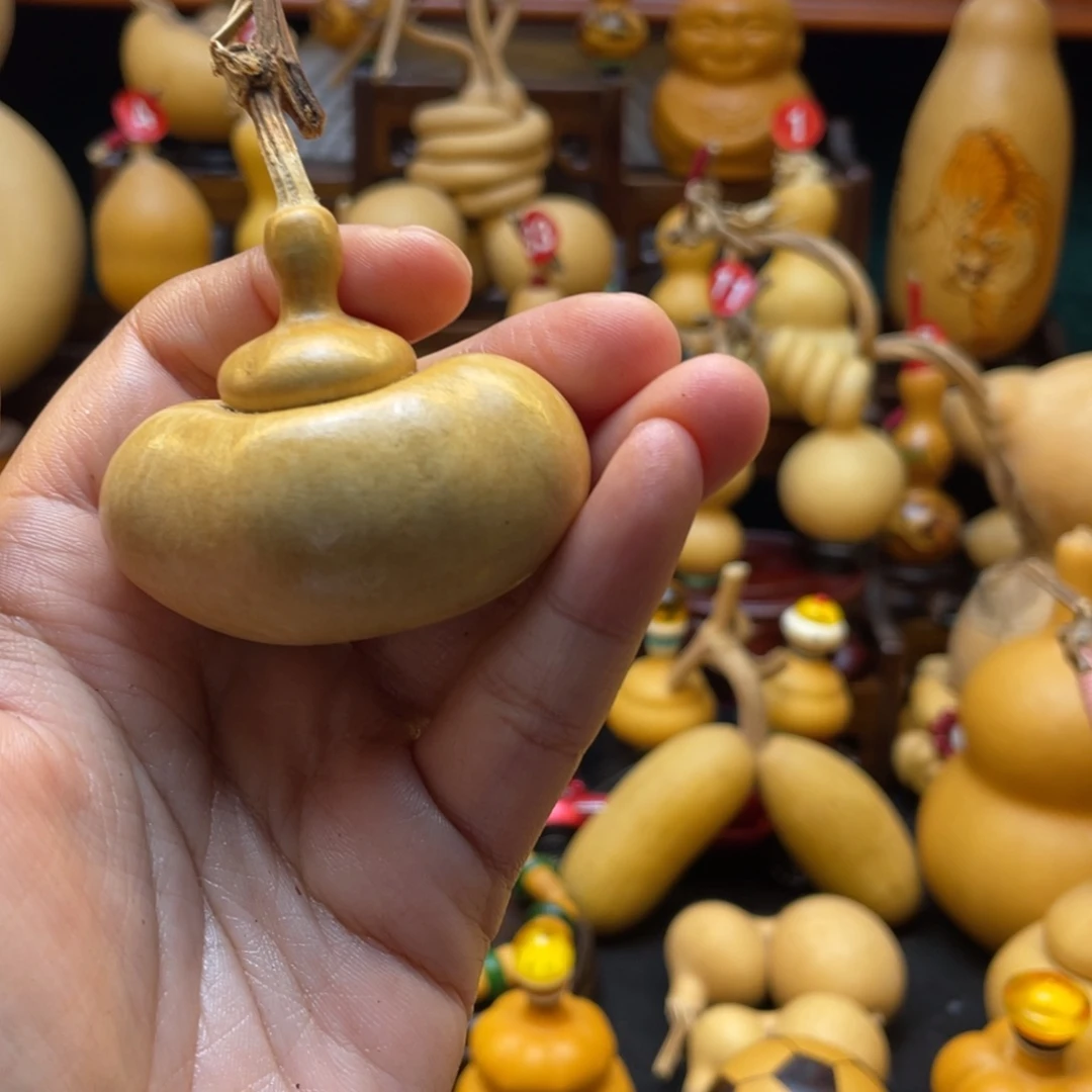 吃****菜葫芦等多种颜色的小动物在这里栖息繁衍