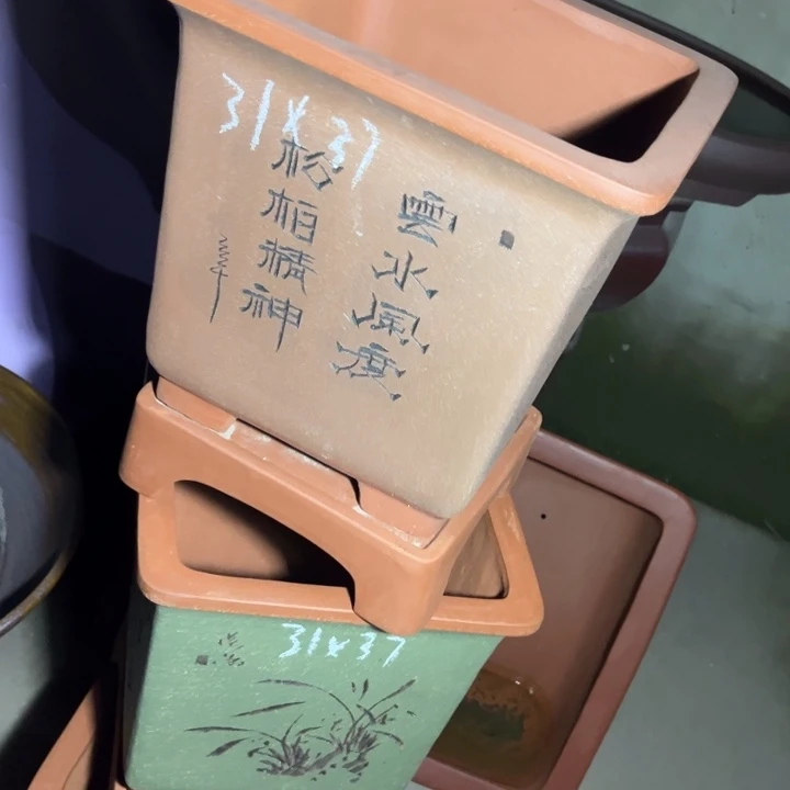 紫砂花盆紫砂花盆