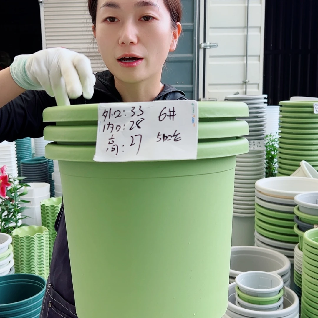 四季盆6#果绿5个无托