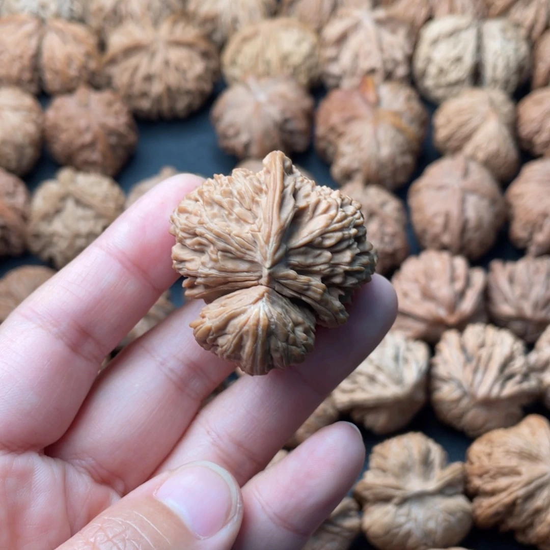 把件文玩核桃41白狮子角