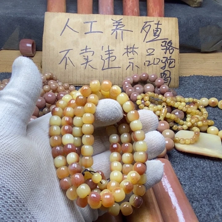 驼骨手串/手链风***路