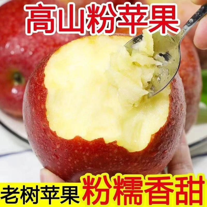 陕西秦冠粉面沙甜新鲜婴儿老人宝宝刮泥9斤秋冬应季水果整箱