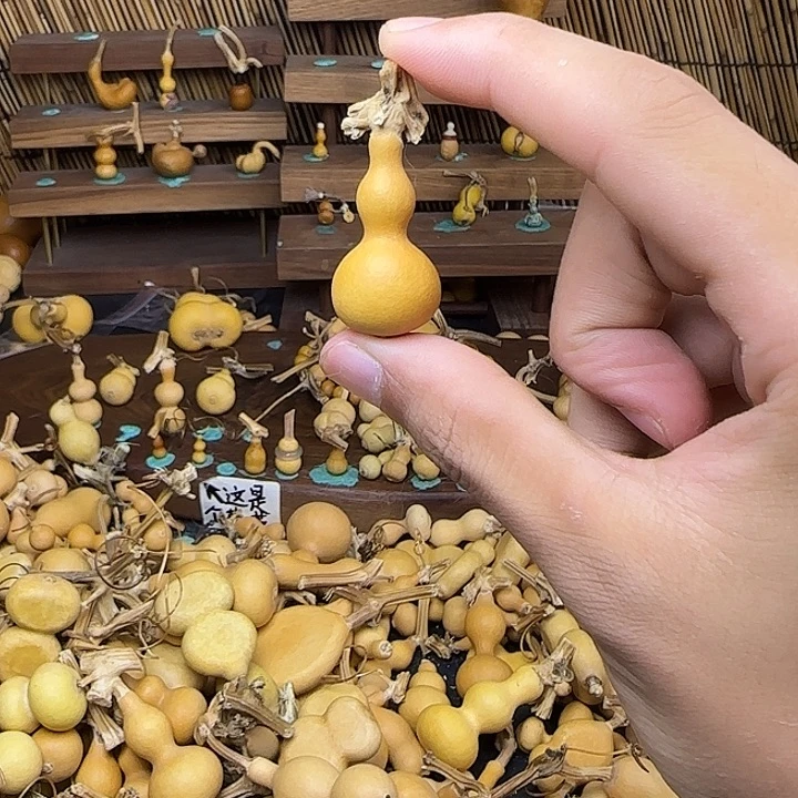 志***型小舅姐姐小舅看星空