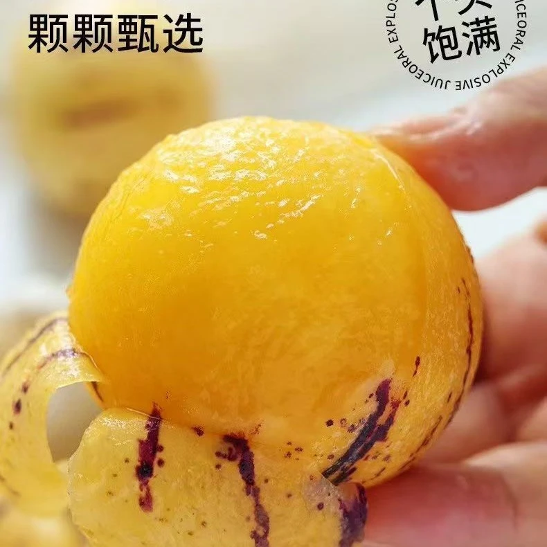 云南石林新鲜应季人参果圆果黄肉清甜多汁水果
