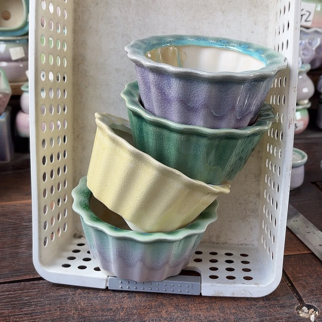 量货/口10高6深浅搭配发4