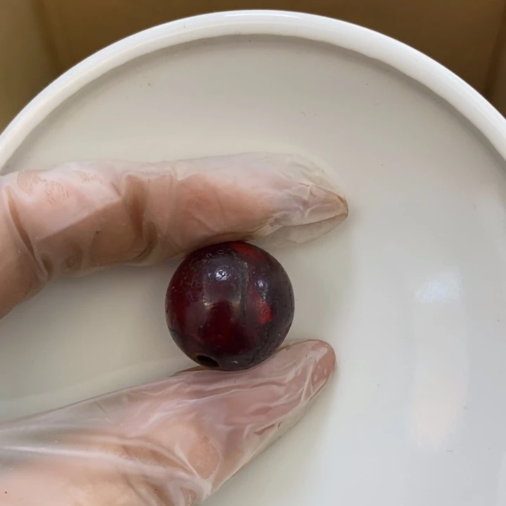 瓷片星**典哦哦哦哦哦哦哦哦哦哦