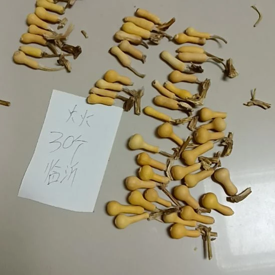 大叶紫檀（黑酸枝木类）