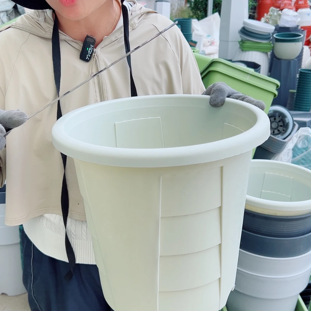 玫瑰320#米白色5个无托