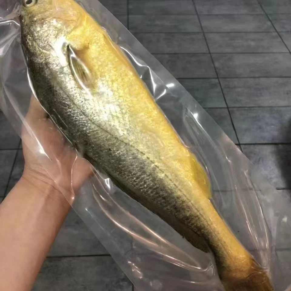 舟山东海野生大黄鱼三斤装3-4两一条码头价码头发货