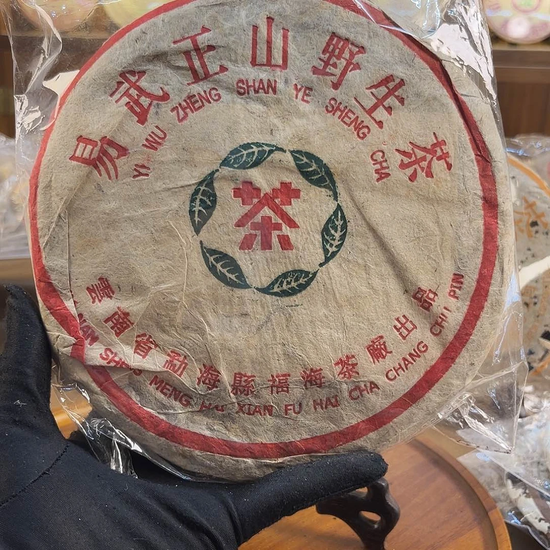 1999年福海绿星星