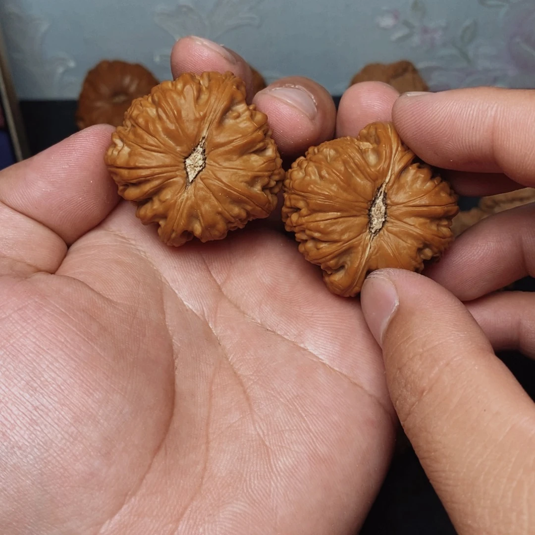 文玩核桃把件白狮子