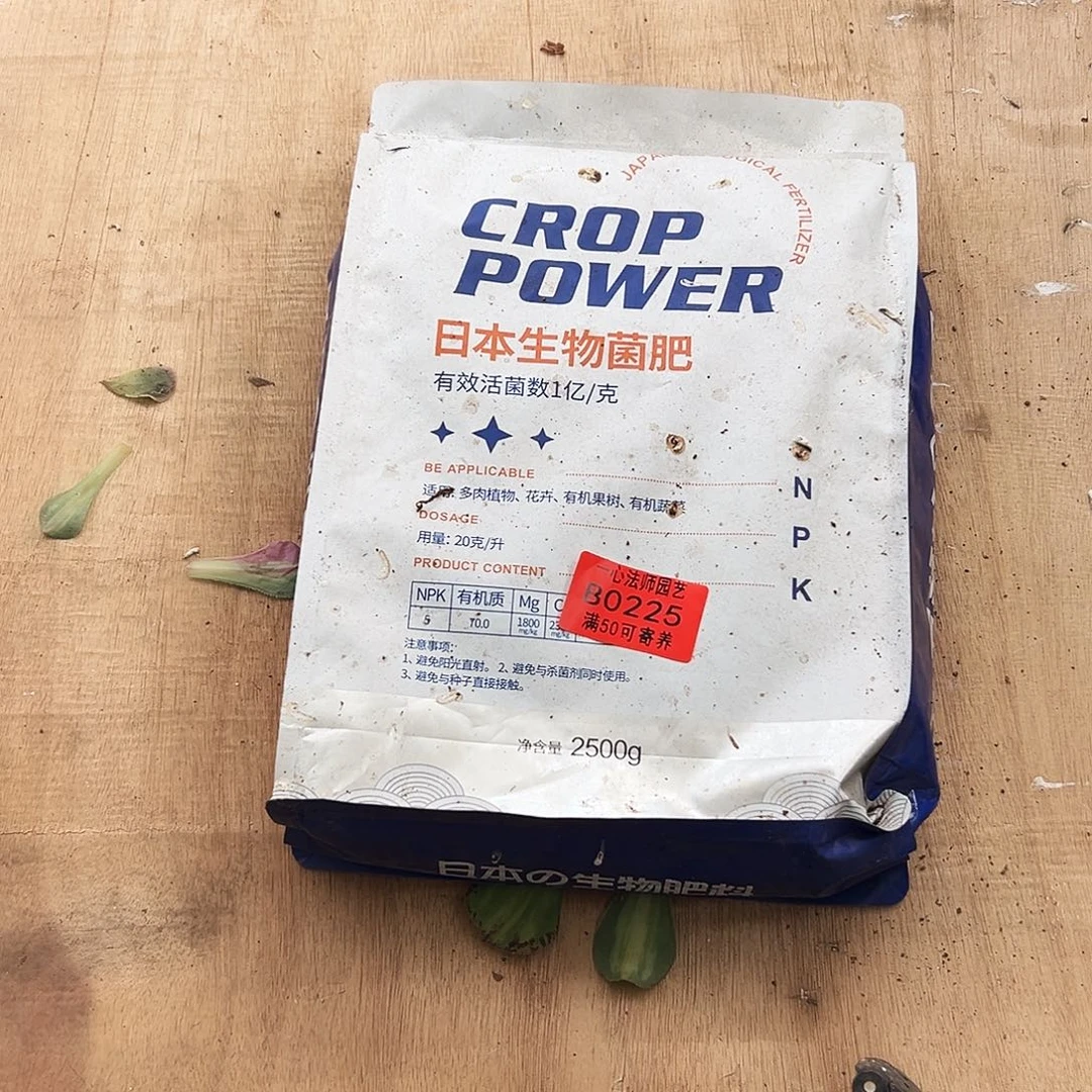 佛***照225多肉植物、专用