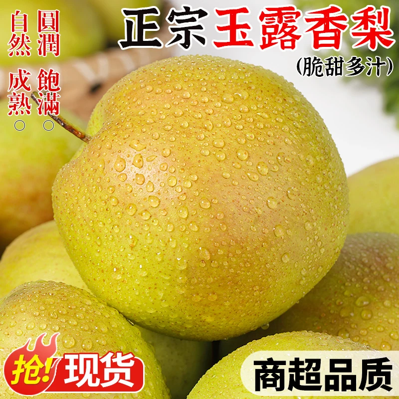 山西玉露香梨新鲜水果当季现摘脆甜梨子酥梨