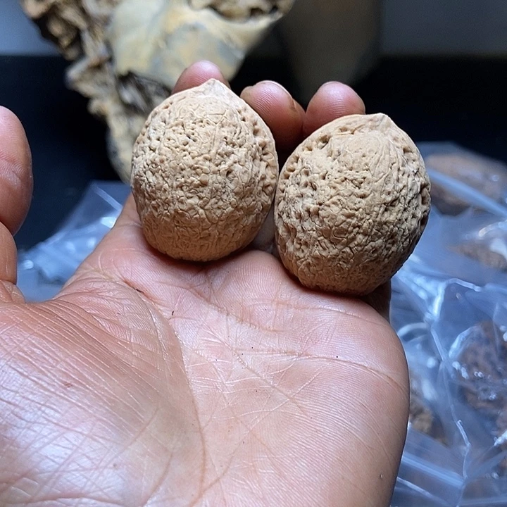 把件文玩核桃云南铁核桃基地20