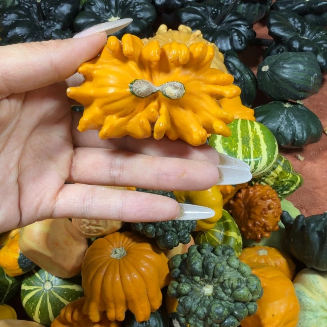 b***u饿哦饿哦饿哦饿哦饿哦饿哦饿哦