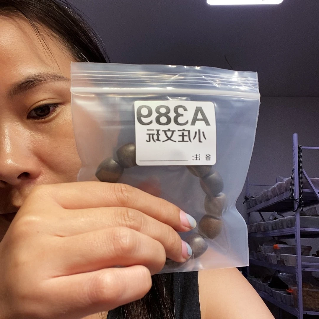 【闪购商品】黑檀木389
