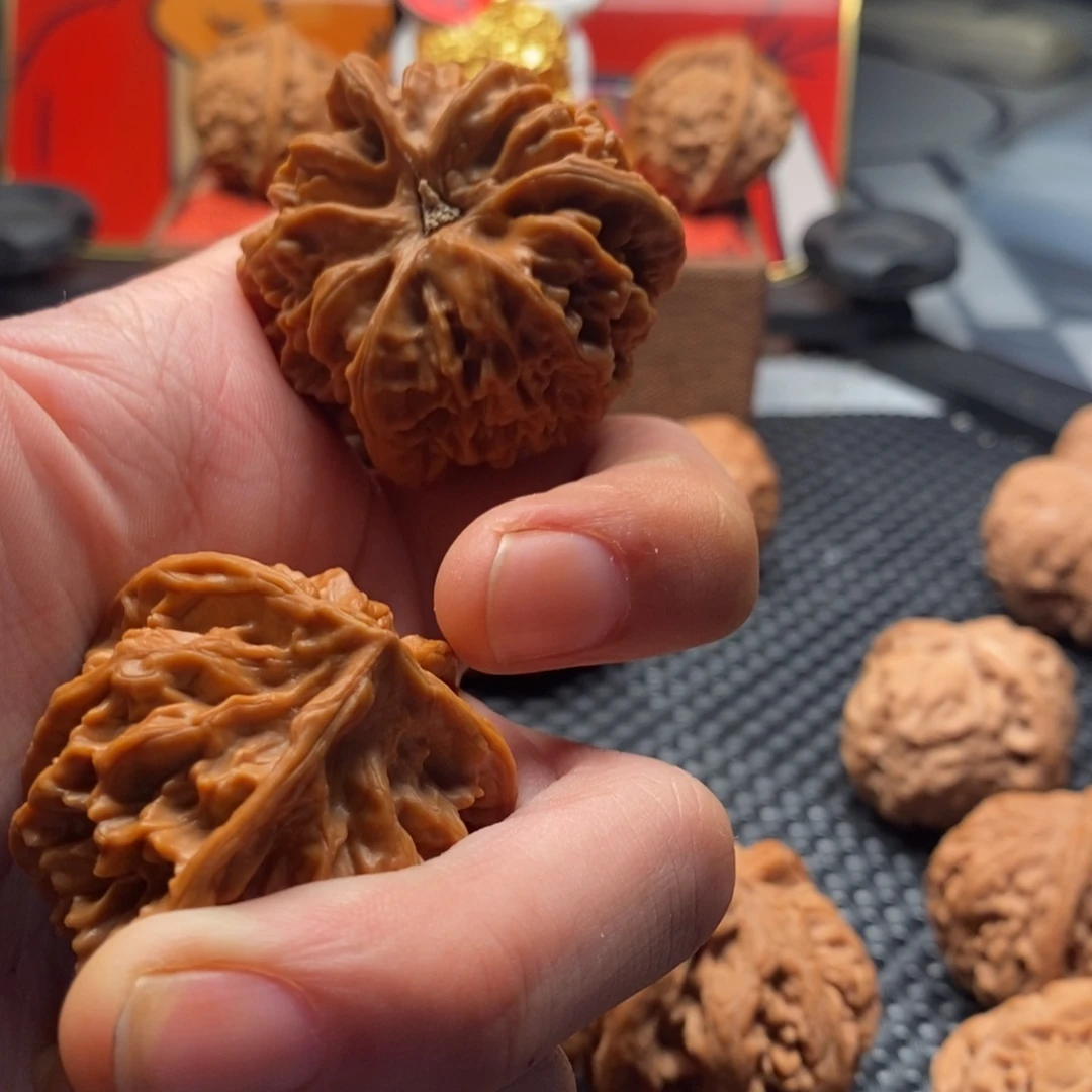 执***。文玩核桃精品正奔