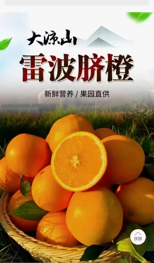 正宗雷波脐橙皮薄肉厚现摘现发新鲜水果