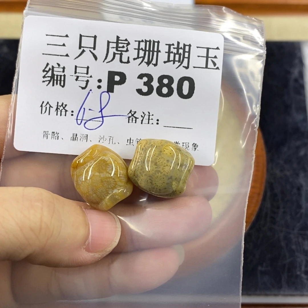 硅化珊瑚（珊瑚玉）1未镶嵌?****?