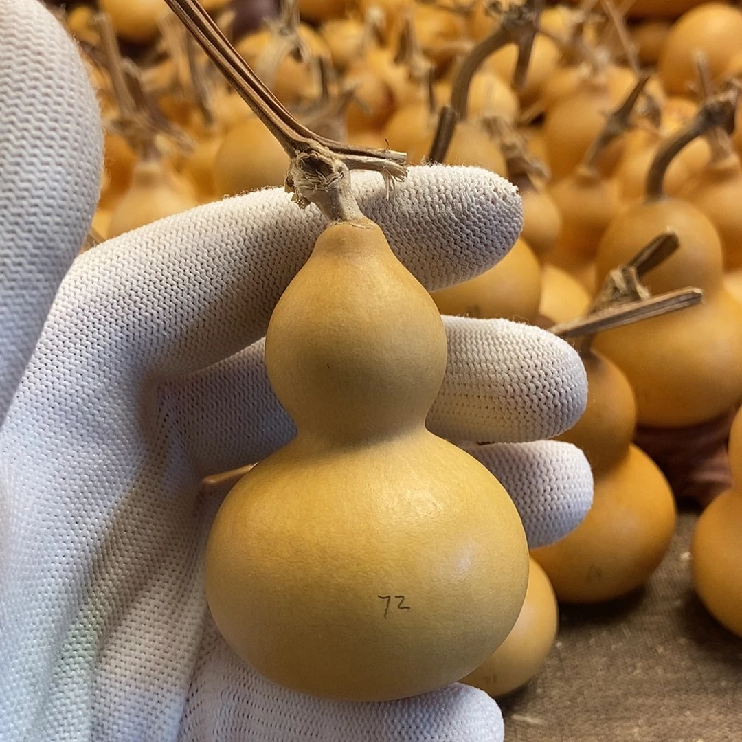 文玩葫芦 完美主义者 慎拍72
