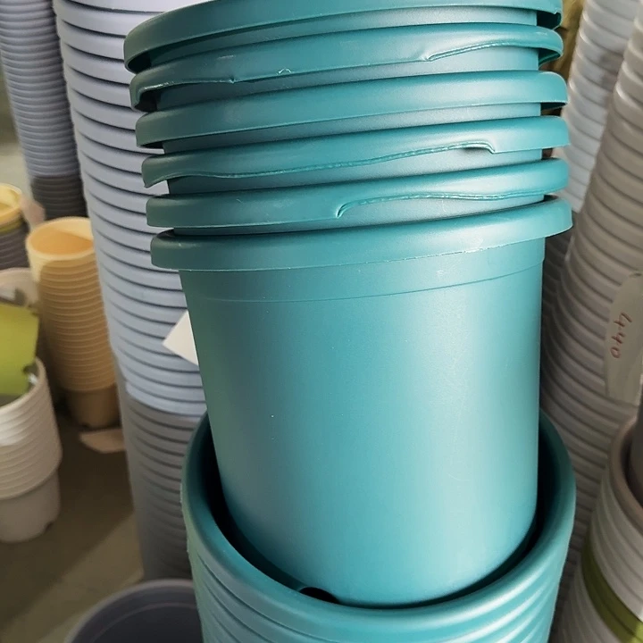 缺口5#口径29军绿10个无托