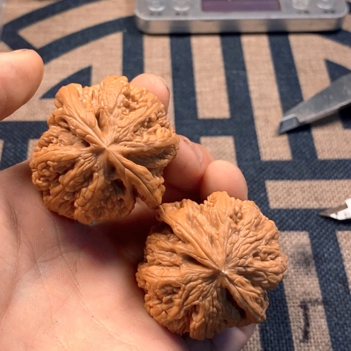文玩核桃吊坠全品粗筋