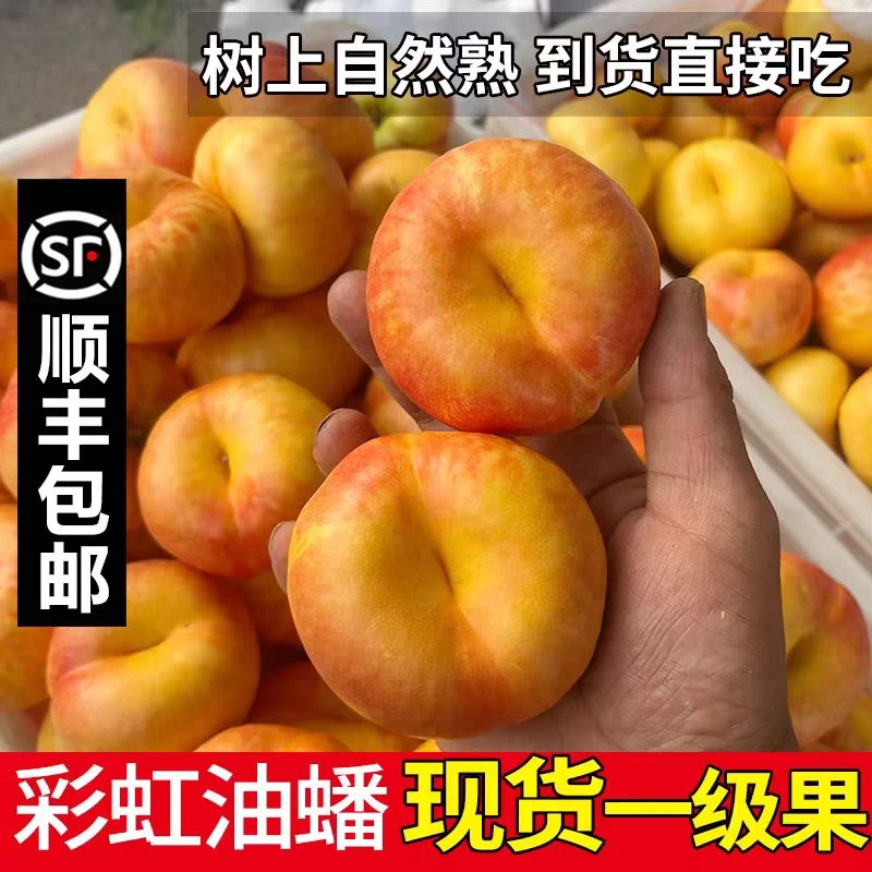 【土丁专属】蒙阴彩虹油蟠桃顺丰包邮净重4斤单果120g+ 约12-15个