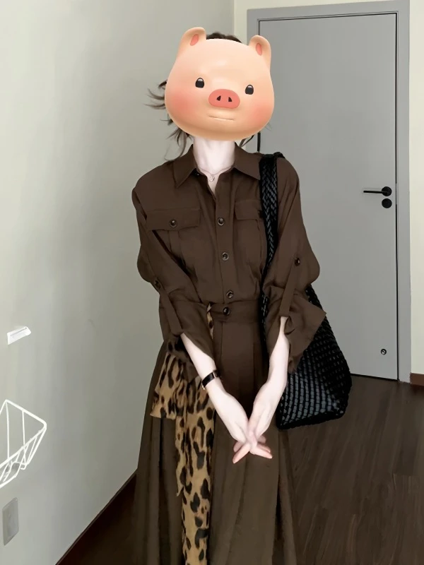 韩系美拉德翻领长袖衬衫连衣裙女秋季高级感收腰显瘦气质a字长裙
